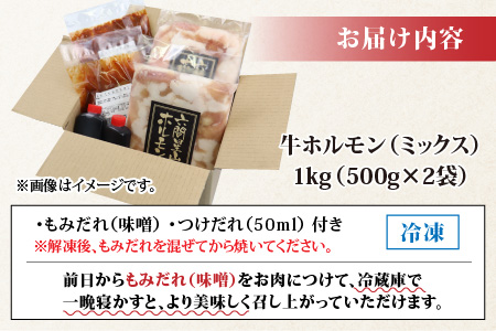 ホルモンの老舗 六間星山の牛ホルモン（ミックス）500g×2袋 計1kg [A-026001]