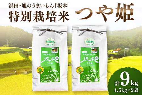 【令和6年産】浜田・旭のうまいもん「坂本」特別栽培米つや姫　4.5kg×2袋 米 お米 特別栽培米 つや姫 精米 白米 ごはん お取り寄せ 特産 【1031】