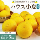 【ふるさと納税】【先行予約】【選べる】ハウス小夏 約2.5kg/約5kg（家庭用）- 訳アリ 訳あり キズ 日向夏 ニューサマーオレンジ 果物 果実 蜜柑 みかん ミカン フルーツ 柑橘 こなつ 果汁 フレッシュ 国産 送料無料 土佐の高知のくだもの畑 高知県 香南市【常温】Rkd-0023