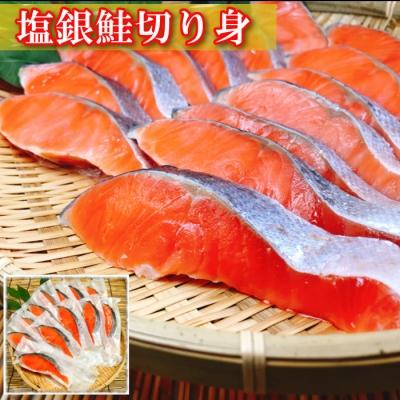 ふるさと納税 根室市 [個包装]塩さばフィレ1枚×8P&塩銀鮭切り身10P A-09042 |  | 01