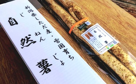 自然薯 1本もの 約800g(1～2本)  とろろご飯に 自然薯（じねんじょ）新潟県産自然薯 無農薬で栽培した自然薯 採れたての自然薯をお届け [まもる農園] 【010P125】