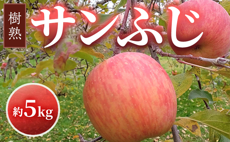 【早期予約】りんご 加積りんご 樹熟サンふじ 約5kg｜ふじ 魚津市産 富山 リンゴ 林檎 くだもの 果物 フルーツ デザート 産地直送 富山県 ※北海道・沖縄・離島への配送不可 ※2025年12月上旬～2026年2月上旬頃に順次発送予定