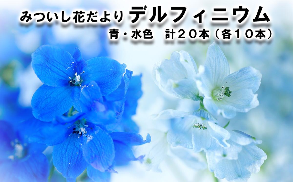 ＜ 9月30日 までの受付 ＞ 生花 みついし花だより デルフィニウム 青 水色 計 20本 (各10本) スプレータイプ 