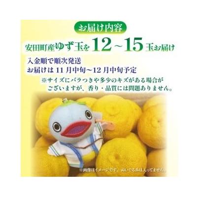 ふるさと納税 安田町 ゆず玉(安田町産)柚子　12〜15玉 |  | 02