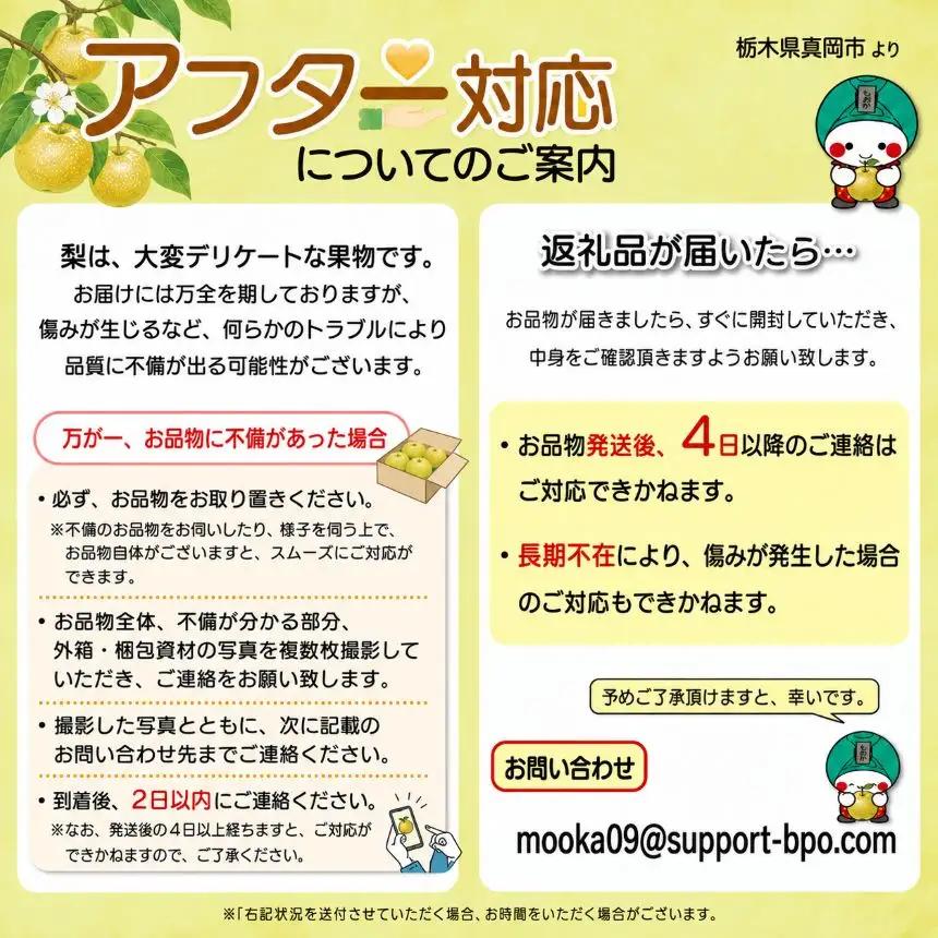 【2026年先行予約】秀品 新高 約3kg 梨 栃木県共通返礼品(栃木県産)