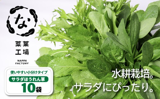 葉野菜 サラダ ほうれん草 | ほうれんそう ホウレンソウ 水菜 ミズナ 生食 野菜 セット 新鮮 健康 人気 おすすめ 高知県 南国市
