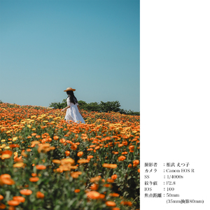 【キヤノンRFマウント用】SIGMA 18-50mm F2.8 DC DN｜Contemporary