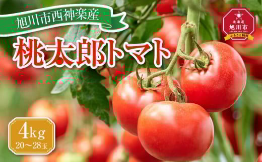
            旭川市西神楽産 桃太郎トマト4kg（2026年6月中旬～発送開始予定）_00960
          