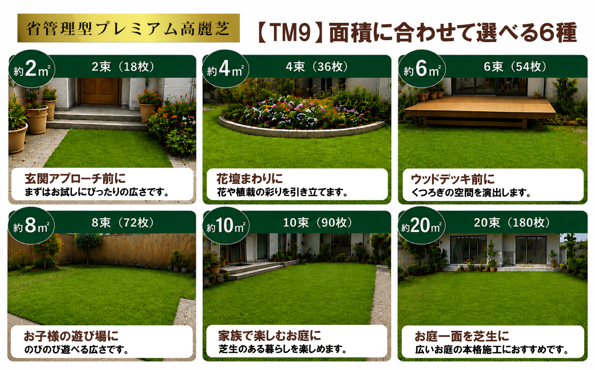 【先行予約】6㎡分 省管理型プレミアム高麗芝 「TM9（芝生）」コウライシバ ティーエムナイン 【2027年3月下旬頃から出荷予定】 6㎡分（6束）3箱 | 36,000円