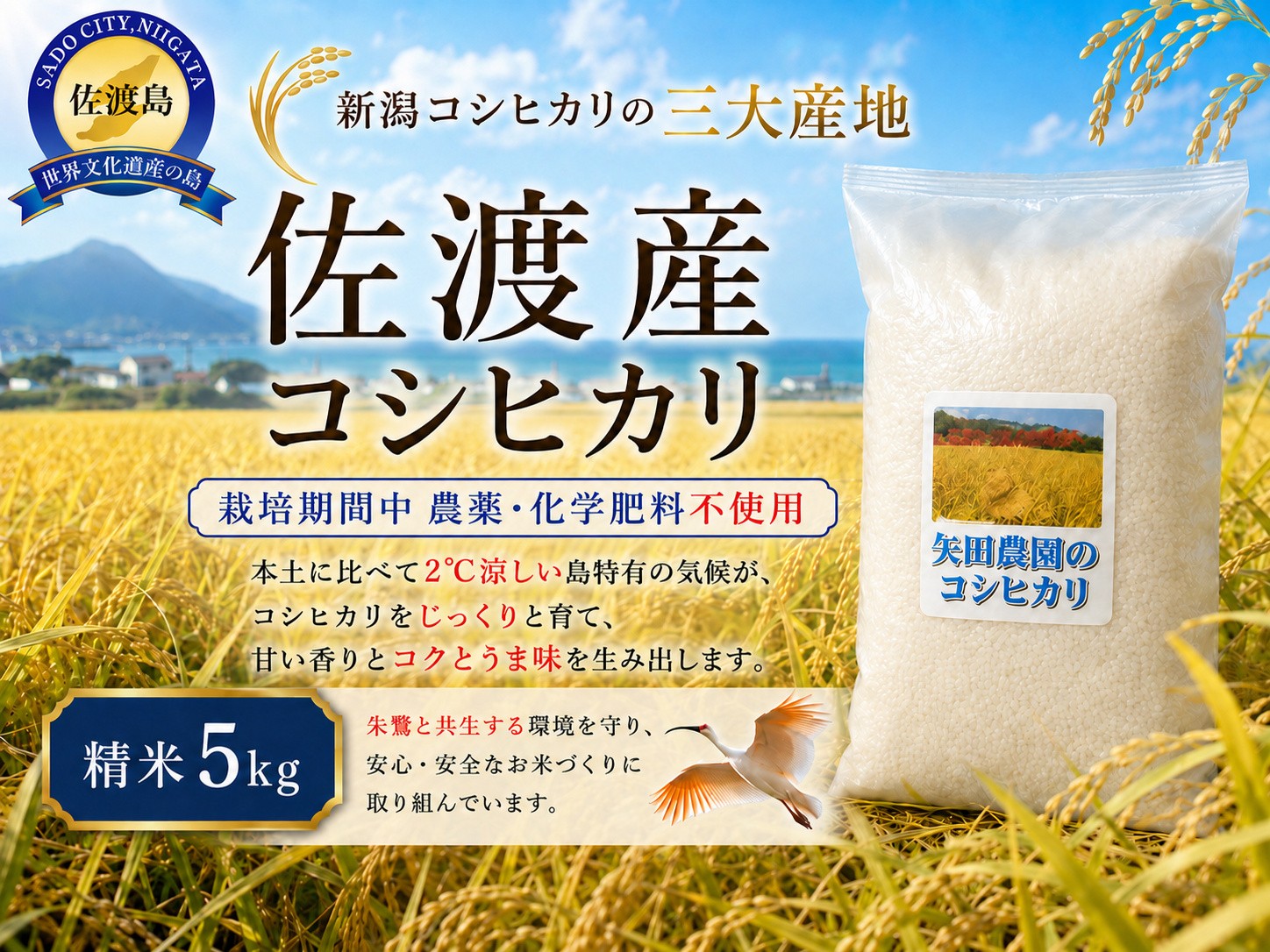 
                  【令和8年産】佐渡産コシヒカリ 精米5kg 在来種 栽培期間中 農薬・化学肥料不使用 矢田農園 | 新潟県産コシヒカリ 新潟産コシヒカリ 佐渡産コシヒカリ 新潟県産こしひかり 佐渡産こしひかり お米 米 こしひかり 白米 精米 おこめ コメ 5キロ 農家直送 にいがた さど 新潟県 佐渡市
                