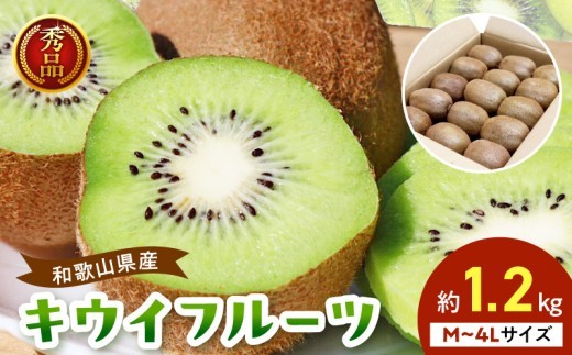 
                   和歌山産 キウイフルーツ 秀品 内容量 約 1.2kg 1箱 サイズおまかせ フルーツ 果物 キウイ 葉酸 ビタミンC 栄養 デザート お取り寄せフルーツ お取り寄せ 和歌山県 湯浅町 送料無料_BL6175
                