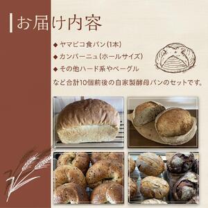 自家製酵母おたのしみパンセット80サイズ≪隔月定期便全６回≫ | パン 長野 信州