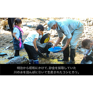 [先行予約] R7年産 秘境の地の砂金米 岩船産コシヒカリ精米6kg(2kg×3袋)【1441586】