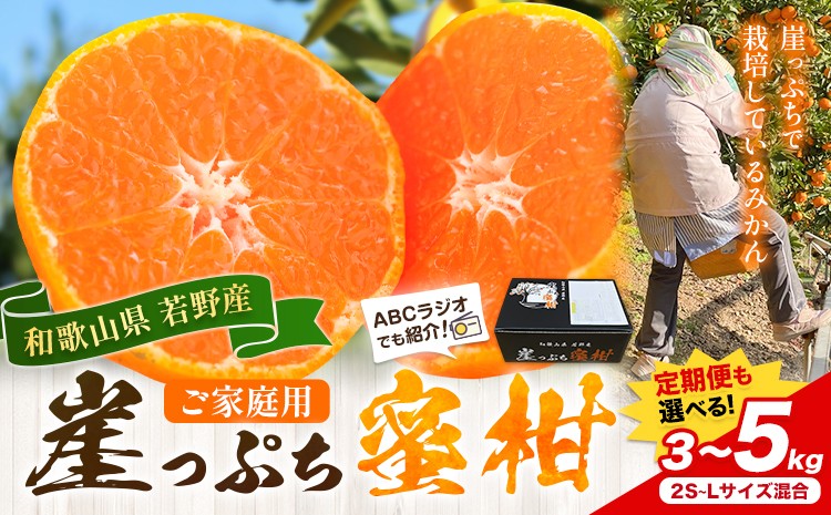 
                  みかん ご家庭用 崖っぷち蜜柑 若野産 選べる内容量 約3kg 約5kg 定期便 2回 2S～Lサイズ混合 《11月下旬-1月上旬頃出荷予定》 崖っぷち蜜柑 和歌山県 日高川町 みかん 柑橘 フルーツ 果物 ミカン 送料無料
                