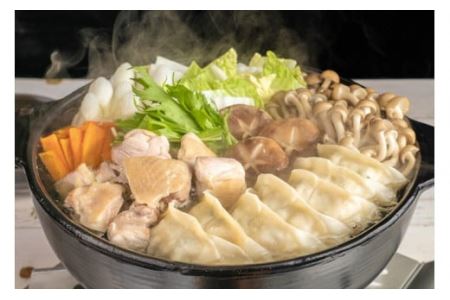 冷凍餃子 生餃子 135個 丹波市 野菜たっぷり 手作り ギョウザ 野菜餃子