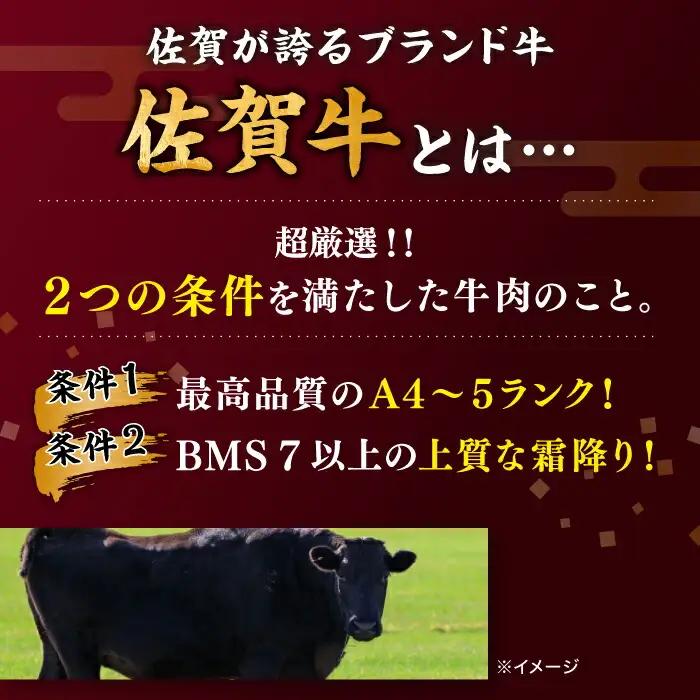 佐賀牛 おまかせ ステーキ 500g / ステーキ [IAX035]