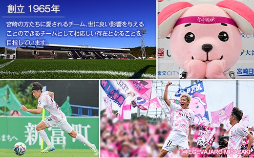 ＜2026年10月下旬お届け＞テゲたま。 卵 計30個入り 1箱 たまご 国産 テゲバジャーロ宮崎【A348-2610】