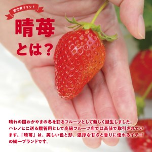 晴苺 約450g はれいちご いちご