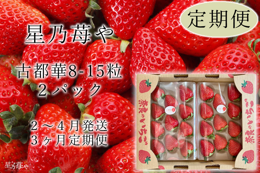 
定期便 いちご 奈良県のいちご古都華2パック3ヶ月定期便 2025年2月発送開始 // /苺 いちご イチゴ 古都華 奈良 奈良県 広陵町 生産者直送 直送 厳選 数量限定 旬 フルーツ 甘い 完熟 果物 3ヶ月定期便
