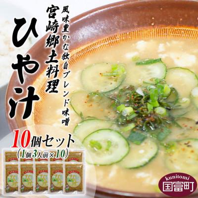 ふるさと納税 国富町 宮崎郷土料理　冷や汁　10個セット