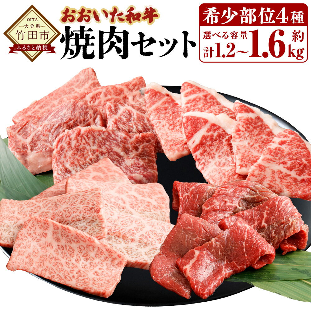 【ふるさと納税】 【選べる容量】おおいた和牛 希少部位 4種 焼肉セット 約1.2kg～1.6kg 肉 お肉 牛肉 和牛 おおいた豊後牛 焼き肉 焼肉用 BBQ セット 国産 九州 冷凍 大分 大分県産 竹田市 送料無料