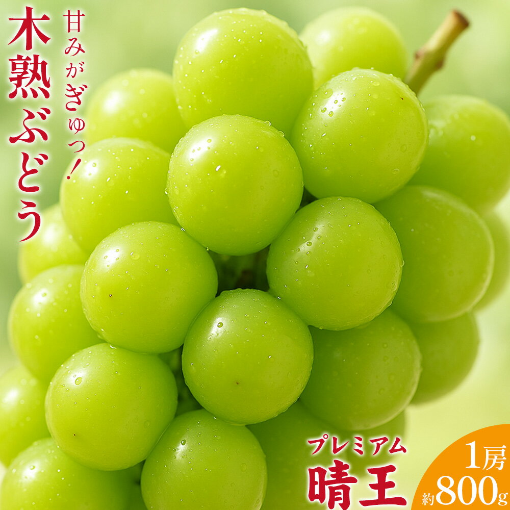 【ふるさと納税】木熟ぶどう 晴王 船穂産 赤秀 1房 800g以上 ハレノフルーツ《9月上旬-10月末頃出荷》岡山県 浅口市 シャインマスカット フルーツ 果物 デザート【配送不可地域あり】