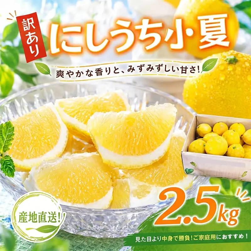 訳あり小夏 (果物) 2.5kg【小夏】