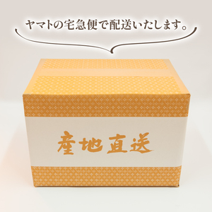 令和6年産 新米 白米 10kg あきたこまち 5kg × 2袋 精米 近江米 アキタコマチ 国産 お米 米 おこめ ごはん ご飯 白飯 しろめし こめ ゴハン 御飯 滋賀県産 竜王 ふるさと ランキ