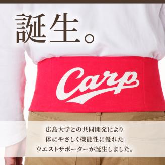 Carpベルト　Sサイズ（75～80cm）