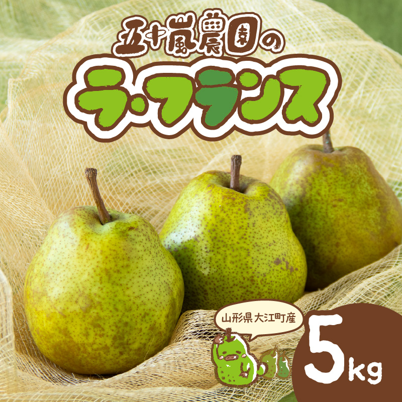 048-005 《先行受付》大江町産 山形ラフランス 5kg 13～20玉 L～5L【2026年11月中旬頃～発送予定】