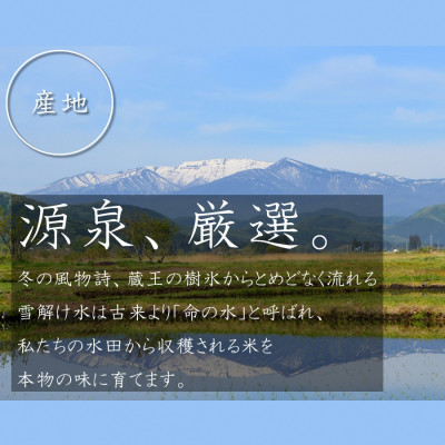 【新米】令和6年産　宮城県産ひとめぼれ 精米10kg【1552382】