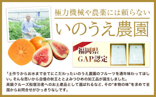 コンフィチュール＆セミドライフルーツ 秋王 いのうえ農園 株式会社アジア開発貿易《30日以内に出荷予定(土日祝除く)》ドライフルーツ 柿 かき カキ フルーツ くだもの 果物 ジャム