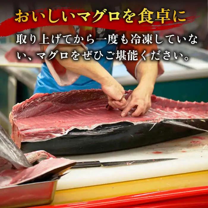 【全6回定期便】五島列島産養殖生本かみまぐろ 赤身 500g[RBP062] 本マグロ 本まぐろ 定期便 本マグロ 本まぐろ 定期便 本マグロ 本まぐろ 定期便九州 長崎