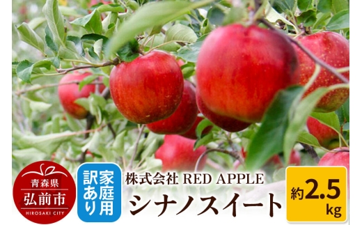 【26年10月中旬～発送】りんご【訳あり】家庭用 シナノスイート 約2.5kg 先行受付 [アップル おいしい シナノ シナノスイート りんご 黄色 果実 果物 美味 林檎] [u9]