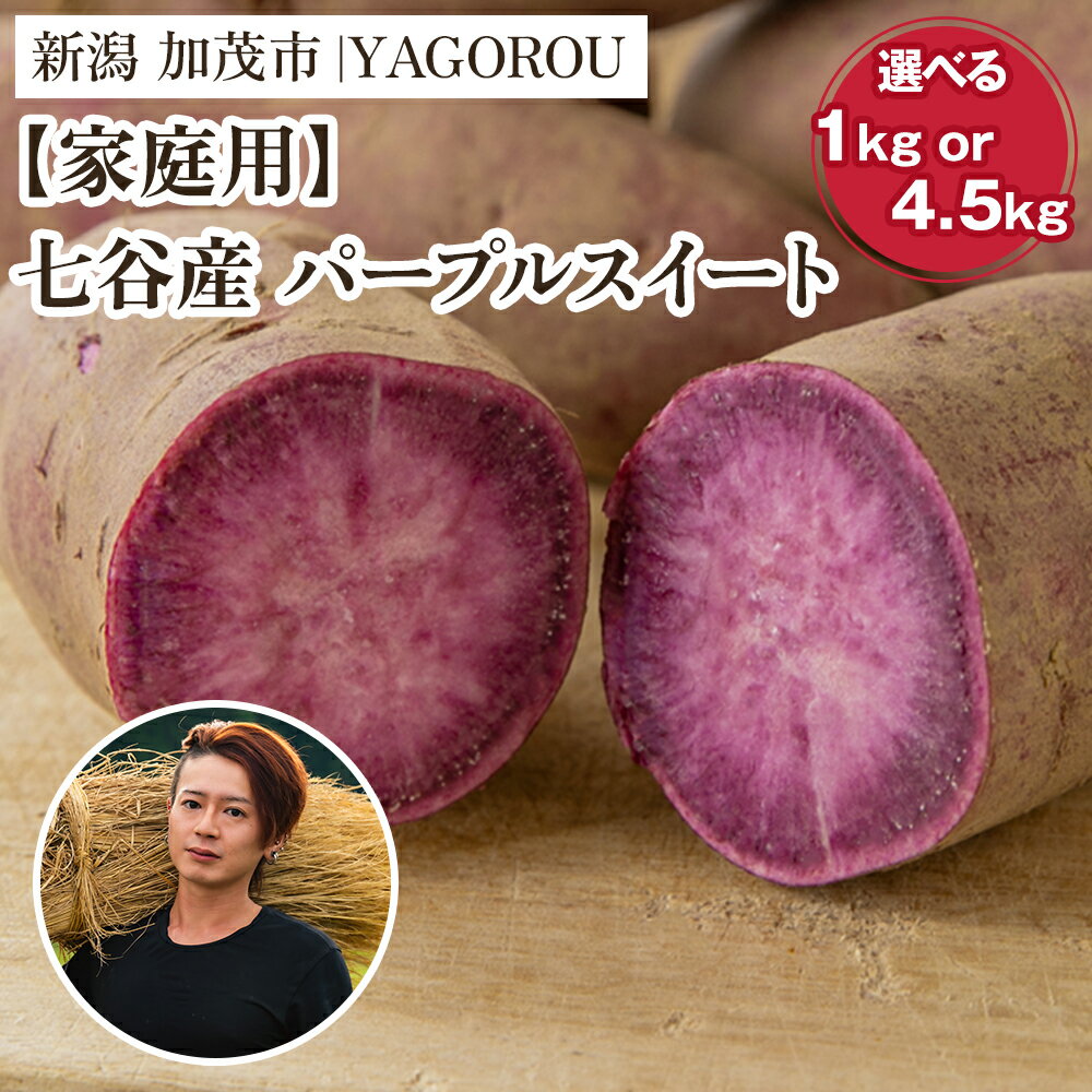 【ふるさと納税】【2025年先行予約】【家庭用】パープルスイート （A品・B品混在） 選べる 「1kg」 or 「4.5kg」 新潟県加茂市七谷産 さつまいも《11月下旬〜順次発送》 サツマイモ お芋 焼き芋 スイートポテト 野菜 根菜 低温熟成 加茂市 YAGOROU ヤゴロウ