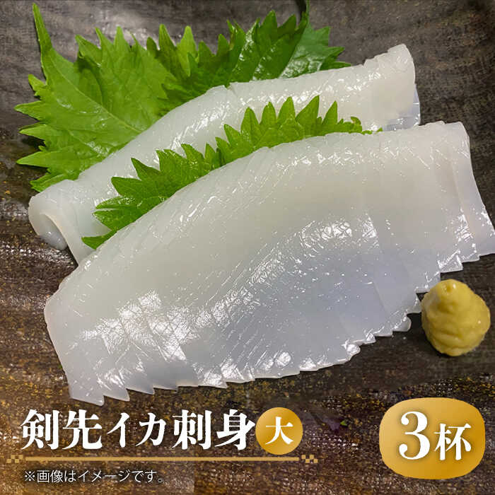 【ふるさと納税】剣先イカ 刺身（大）3杯《壱岐市》【株式会社マルショウ】[JEW004] いか イカ 冷凍 剣先いか いかさし 海産物 魚介 刺し身 18000 18000円 冷凍配送