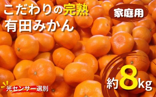 【2024年11月発送予約分】＼光センサー選別／農家直送 こだわりの完熟有田みかん 約8kg＋250g(傷み補償分) 【ご家庭用】【11月発送】【nuk100-1E】