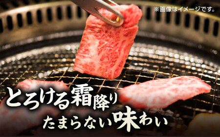 【12回定期便】くまもと黒毛和牛 焼肉用 肩ロース 500g（250g×2pc）【馬刺しの郷 民守】 熊本県産 九州産 和牛 お肉 肉 バラ 黒毛和牛 熊本肩ロース 肩ロース 焼き肉 焼肉 黒毛和牛定