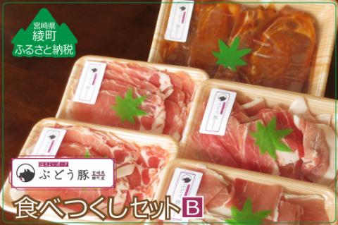 綾ぶどう豚やわらか味噌 食べつくし3種セットB