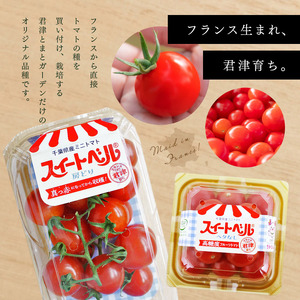【定期便6回】 高糖度 ミニトマト スイートベル （ ヘタなし ） 150g × 12P | 野菜 トマト ミニトマト プチトマト トマト 高糖度 トマト とまと 小分け 君津とまとガーデン 定期便 