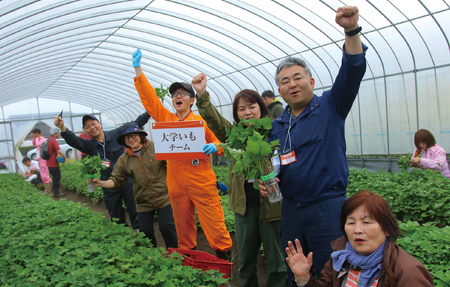 【期間限定】＜【Ａ】2025年度おいも株オーナー制度1口セット2株 霧島紅かぐら（最低2.4kg保証）＞2025年12月中旬頃に熟成されたさつまいもをお届け！きりしまべにかぐら サツマイモ 芋 権利書