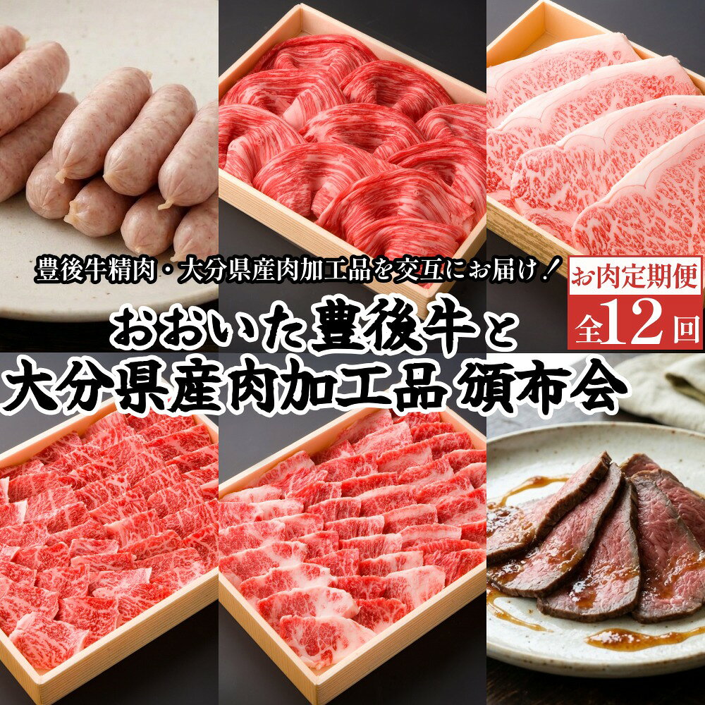 【ふるさと納税】【お肉定期便 12回】おおいた豊後牛と大分県産肉加工品の頒布会 1年