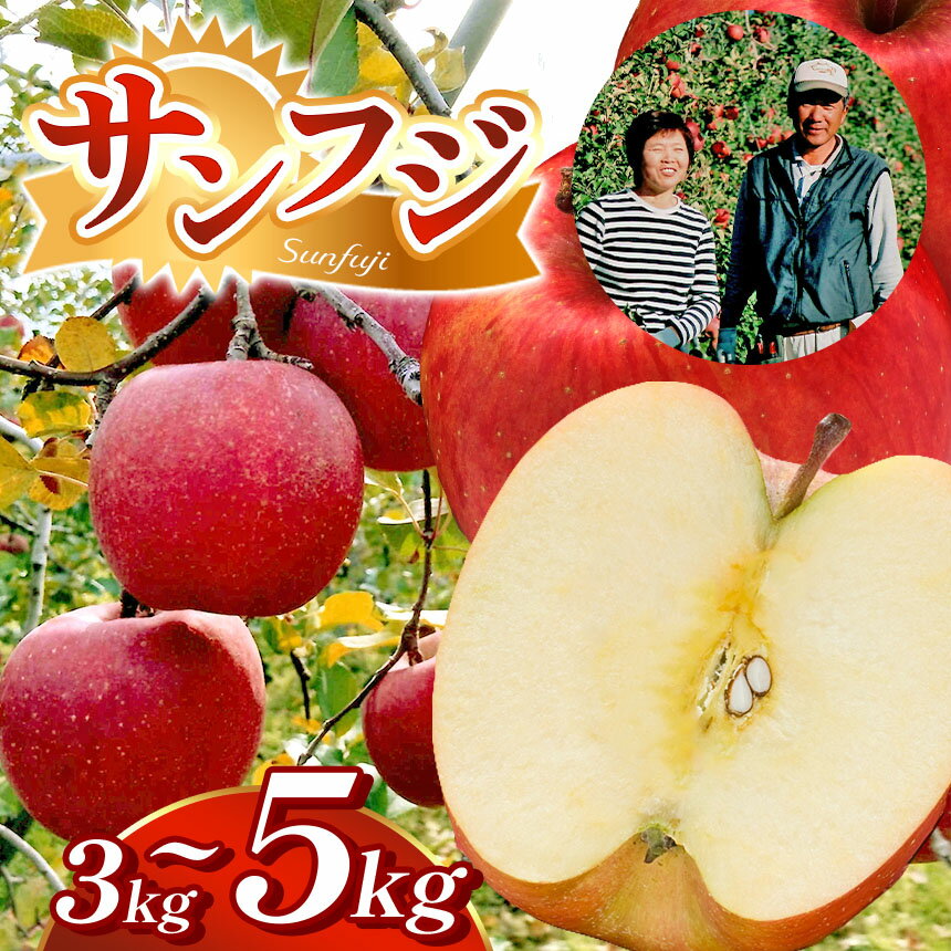 【ふるさと納税】【選べる】【贈答用】サンふじ 約3kg 約5kg【先行予約】｜ サンふじ さんふじ りんご リンゴ 林檎 果物 フルーツ くだもの 信州産 長野県 松本市 ふるさと納税