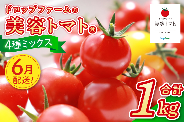 【6月発送】ドロップファームの美容トマトおまかせ1kg箱(４種ミックス)【とまと フルーツトマト 野菜ソムリエ 朝採れ アイコ イエローアイコ 小鈴 フルティカ 野菜 フレッシュ リコピン 大容量 茨