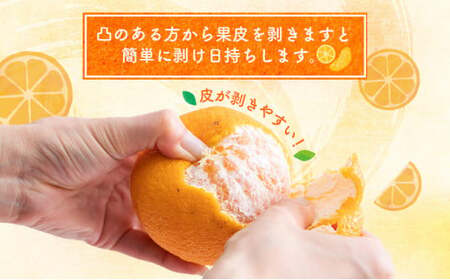 岡村農園直送 不知火 4kg | 数量限定 期間限定 農家直送 大人気 しらぬい 柑橘 デコポン 贈答用 デコポン ふるさと納税 室戸市 人気 ランキング 上位 みかん ミカン 高知県 室戸市_dp0