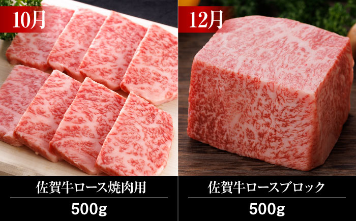 【全12回】 A5ランク 佐賀牛 霜降り 食べ比べ 定期便 約2-3人前 総計6.8kg 50万 /焼肉どすこい [UCC004] 最高級 牛肉 肉 ステーキ スライス ローストビーフ 焼肉