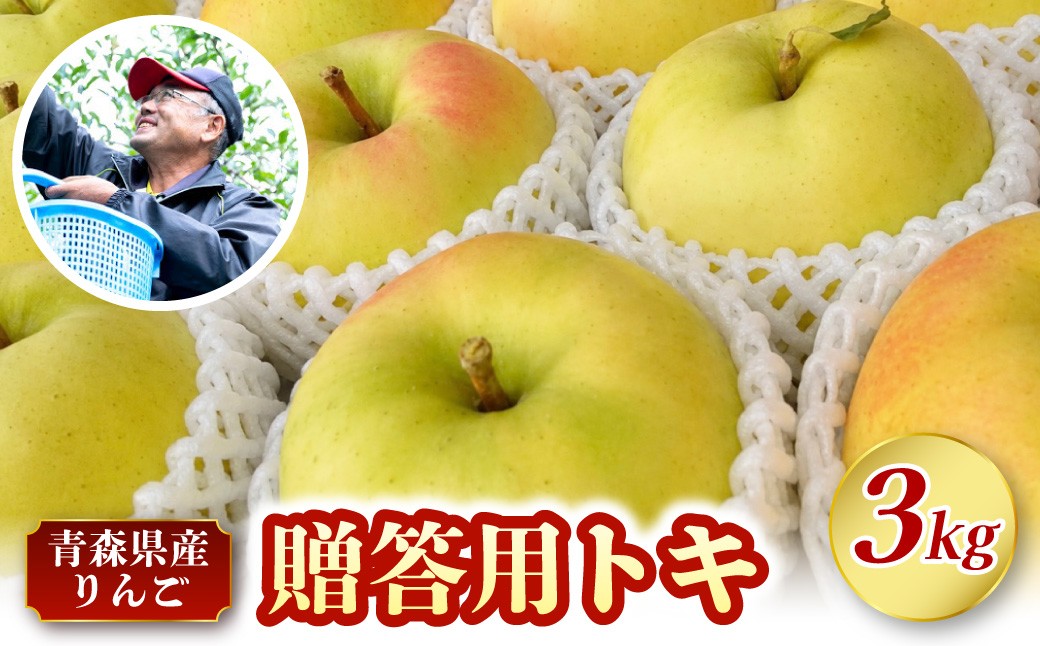 
                  【先行受付】【10月中旬以降順次発送】 りんご トキ 3kg 程度 《 贈答 》　青森県産 農家直送 とき 贈答 プレゼント 林檎 リンゴ apple 黄色 青森県 五所川原市
                