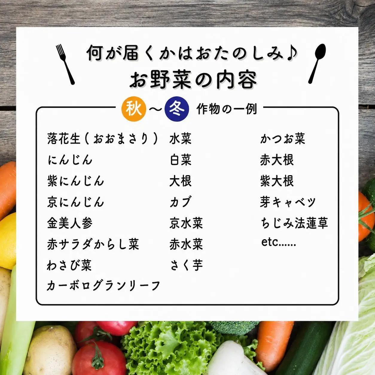 【野菜セット】 旬のお野菜 5～6品目 野菜