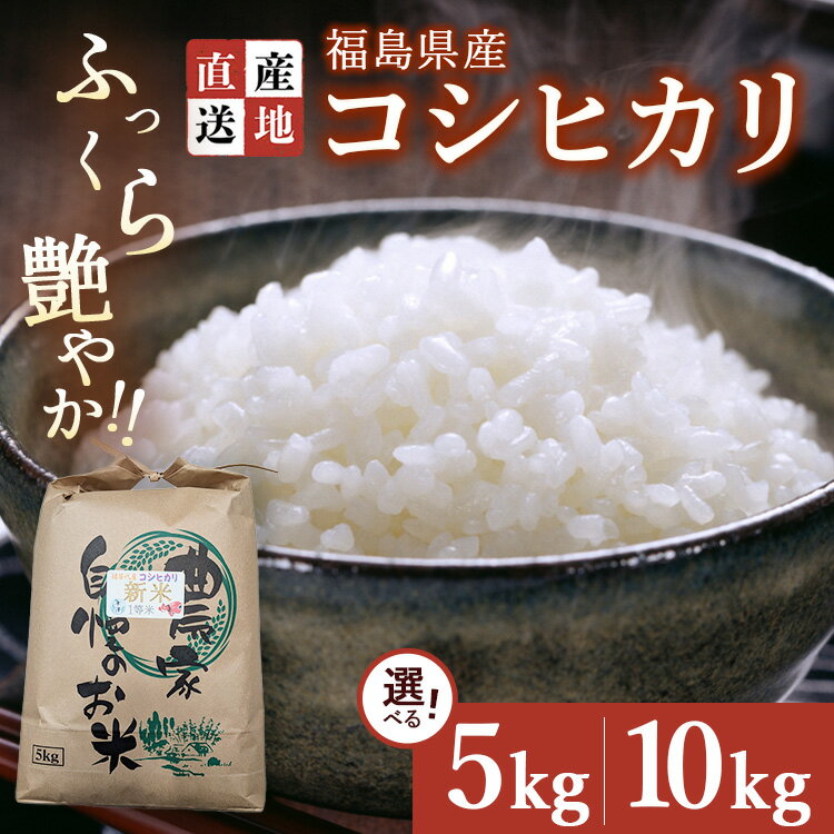 【ふるさと納税】【選べる容量】令和7年産 新米 コシヒカリ 5kg・10kg ｜ 白米 精米 生産者直送 産地直送 猪苗代産 はんざわエコファーム ※沖縄・離島への配送不可