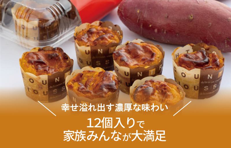 【期間限定】芋匠さのやの人気セット（特製スイートポテト+モンブラン） 010B1761